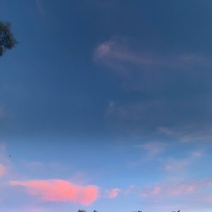 Meet your Posher, Mariela